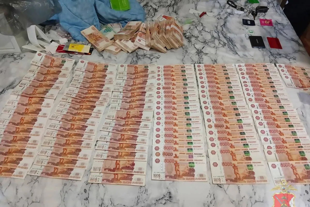 Вологжанина осудили за мошенничества и кражи со счетов на 19,5 миллиона рублей