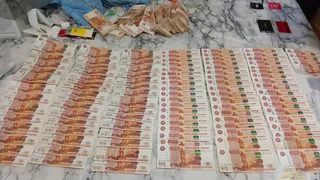 Вологжанина осудили за мошенничества и кражи со счетов на 19,5 миллиона рублей