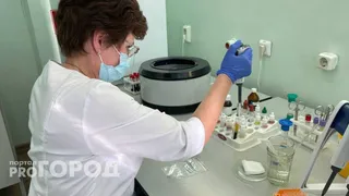 ВИЧ-инфекцию на Вологодчине все чаще выявляют у работающих людей старше 30 лет
