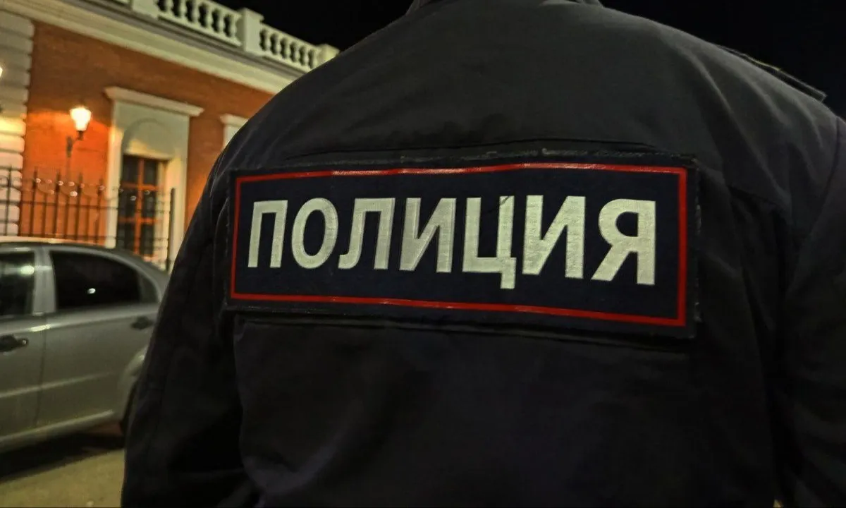 Пьяный житель Вологодской области напал на двух полицейских