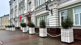 Вологда украшается живыми елями