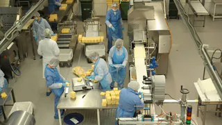 Вологодская область почти удвоила экспорт молочной продукции