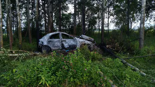 В Вологодской области водитель погиб в аварии с участием лося