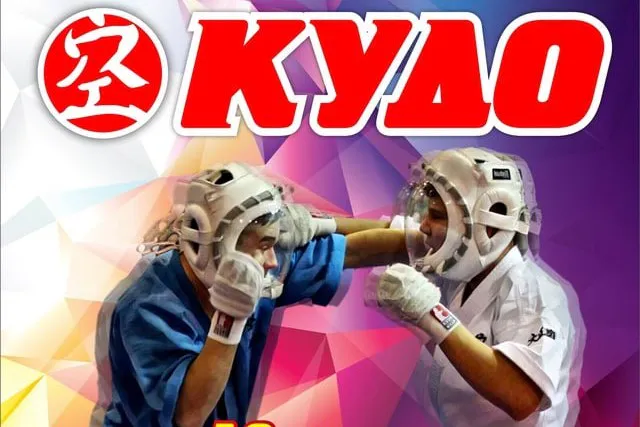 В Череповце проведут чемпионат и первенство Вологодчины по кудо