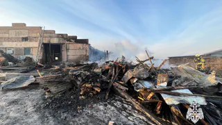 В деревне Вологодской области сгорел дом из-за дымохода