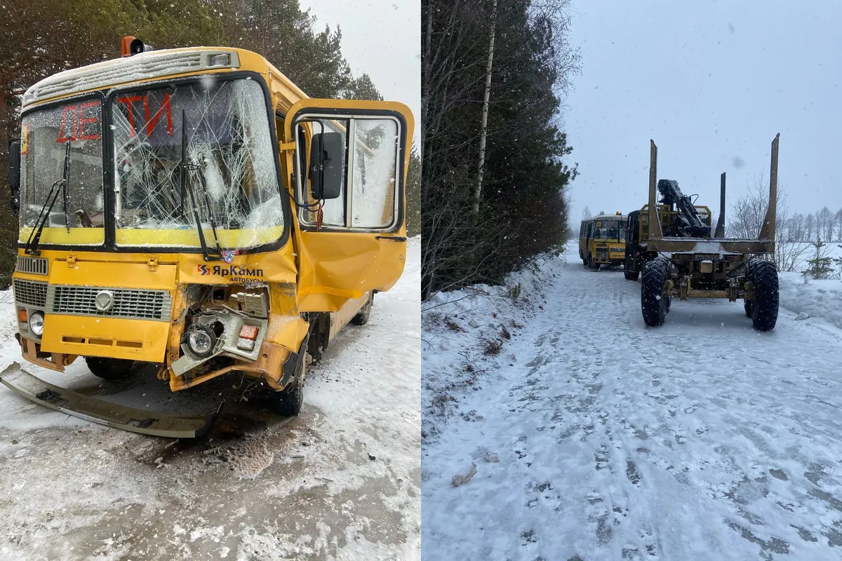 В Вологодской области столкнулись КамАЗ-лесовоз и школьный автобус с 19 детьми