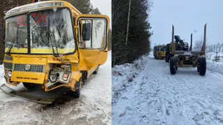 В Вологодской области столкнулись КамАЗ-лесовоз и школьный автобус с 19 детьми