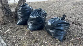 В Вологде очистили от листвы и отходов более 135 общественных площадок