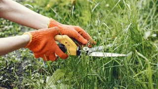 В Череповце приступили к стрижке газонов