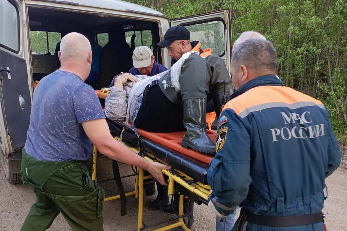 В Вологодской области спасатели освободили пенсионерку, придавленную деревом во время рыбалки