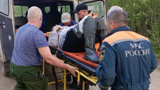 В Вологодской области спасатели освободили пенсионерку, придавленную деревом во время рыбалки