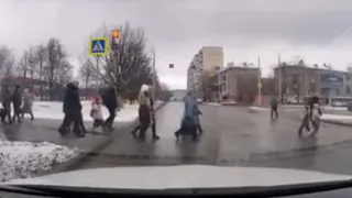 В Череповце воспитатель с детьми перешел дорогу на красный – урок безопасности для всех