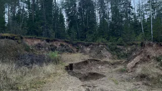 В Вологодской области стартовал сезон поисковых экспедиций