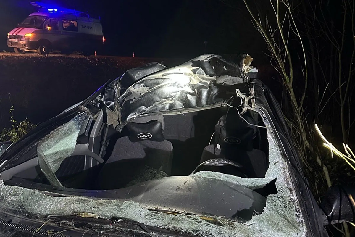 Легковой автомобиль насмерть сбил лося в Вологодской области