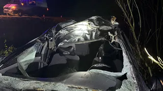 Легковой автомобиль насмерть сбил лося в Вологодской области