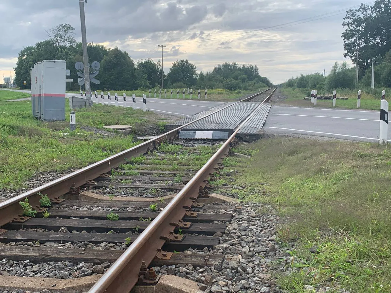 В РЖД подтвердили, что начали борьбу с виртуальными детскими билетами для выкупа купе