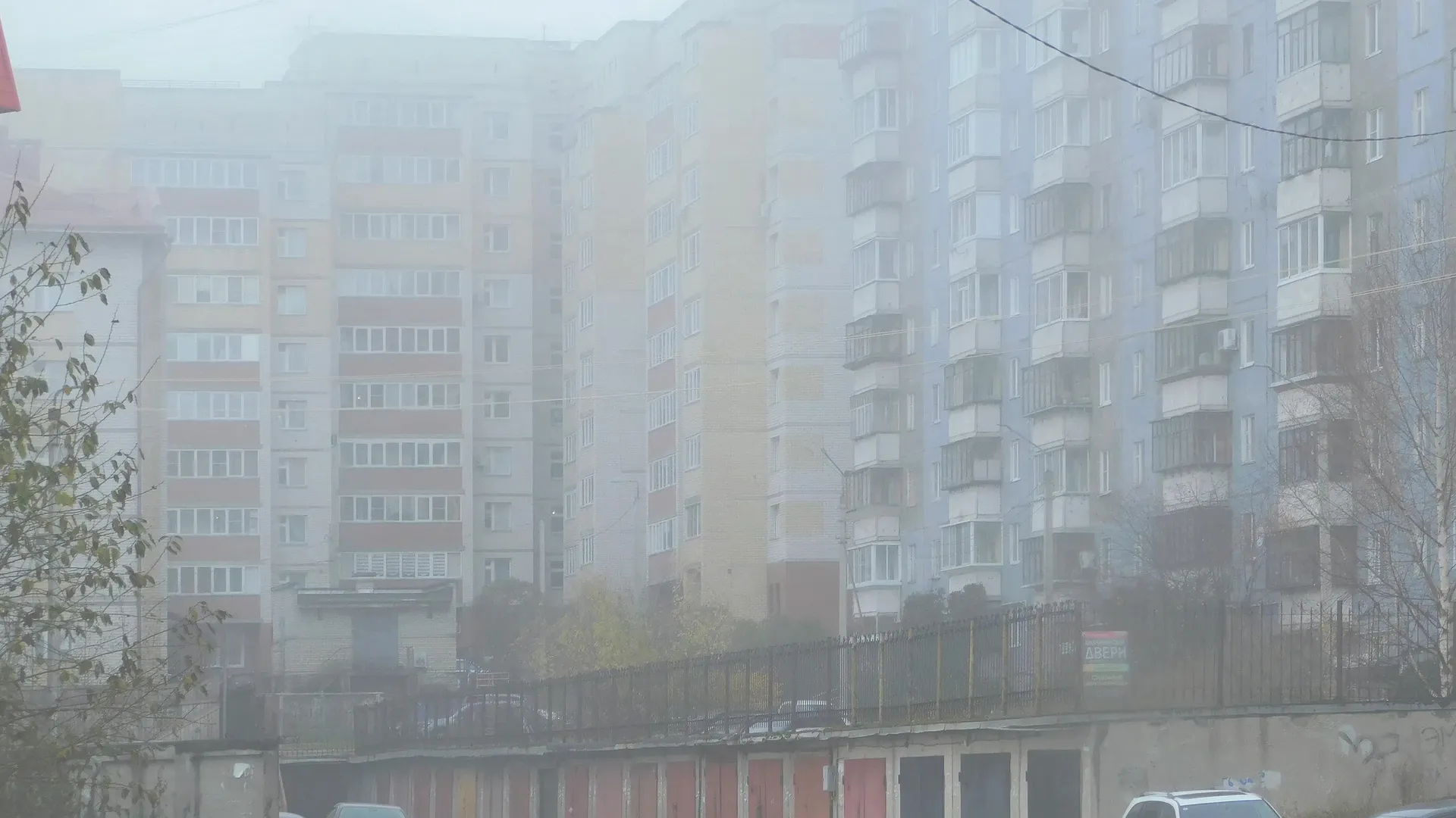 Дожди и туман прогнозируют в Вологодской области 24 октября