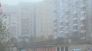 Дожди и туман прогнозируют в Вологодской области 24 октября