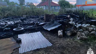 Шашлык привел к пожару: в Вологде сгорела хозяйственная постройка