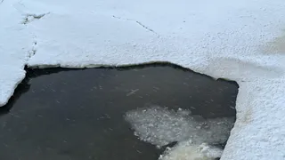 Четыре человека погибли на водоемах Вологодской области