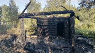 Причиной каждого четвертого пожара в Вологодской области на неделе стал поджог