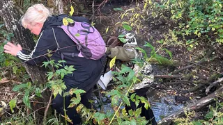 Пропавшая жительница Вологодской области провела 8 дней в лесу