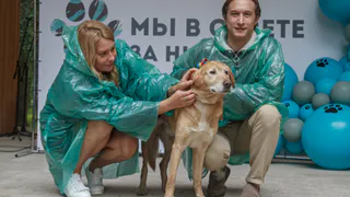 В Вологде зоозащитный фестиваль "Мы в ответе за них" от партии "Новые люди" собрал более 500 гостей