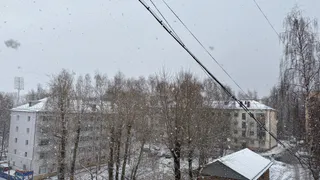 Какая погода ожидает жителей Вологодской области 16 января