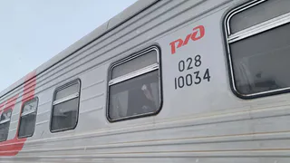 Пьяная женщина погибла под колёсами поезда в Вологодской области