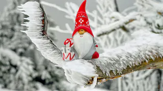 Начнется 12 декабря и продлится 43 дня подряд. Синоптики дали неожиданный прогноз