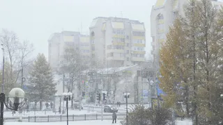 Температура в Вологодской области превысит климатическую норму на 6–8 градусов
