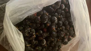 Почему замороженные ягоды иногда полезнее свежих: запомните раз и навсегда