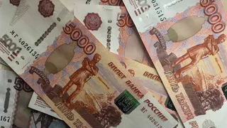 Поступления от лесной отрасли в бюджет Вологодской области выросли на 28,6%