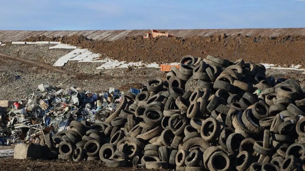 В 2024 году в Вологодской области уже ликвидировано 86 несанкционированных свалок