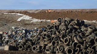 В 2024 году в Вологодской области уже ликвидировано 86 несанкционированных свалок