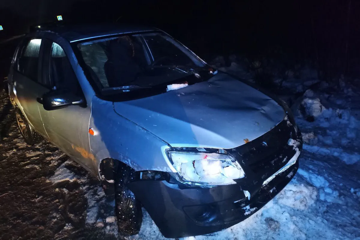 Водитель на "Гранте" сбил лося и улетел в кювет под Вологдой