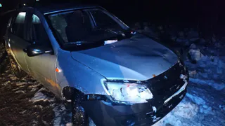Водитель на "Гранте" сбил лося и улетел в кювет под Вологдой