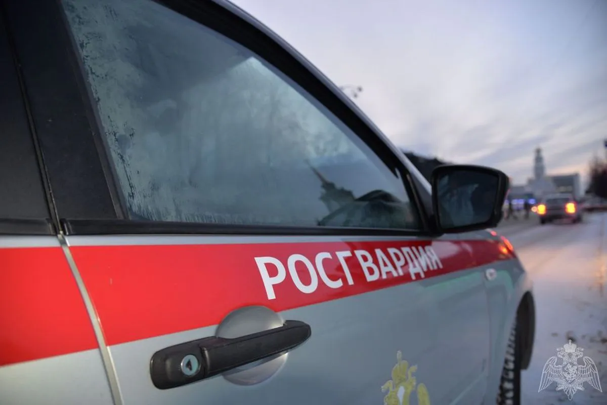 В Вологде хулиган повредил камнями припаркованную у магазина иномарку