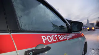 В Вологде хулиган повредил камнями припаркованную у магазина иномарку
