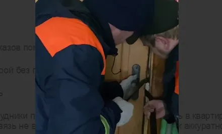 Сборщица заказов стала спасительницей бабушки из Вологды
