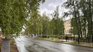 В Вологодской области ожидаются туманы и прохладная погода