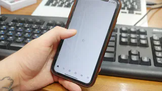 В Вологде появится бесплатный интернет на остановках и в парках
