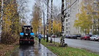 Вологодская компания благодаря нацпроекту будет повышать производительность труда