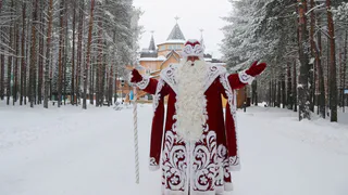 Вологодская область увеличила свою долю в акционерном обществе «Дед Мороз»