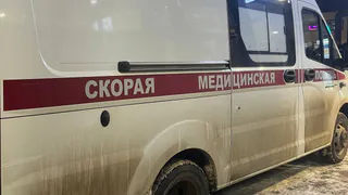 В Вологодской области хозяйка мастифа выплатит более 150 тысяч рублей после повторного нападения на ребенка