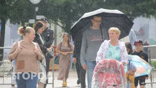 Дожди и туман: синоптики дали прогноз погоды на 8 августа в Вологодской области