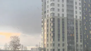 Грозы и туман: синоптики рассказали, какая погода ожидается сегодня в Вологодской области