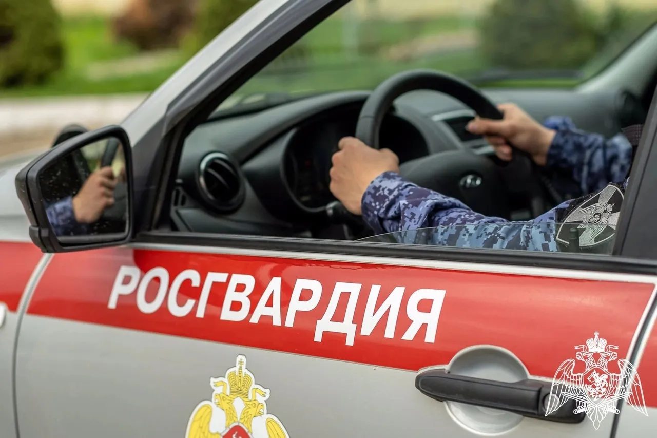 В Вологде состоялись совместные пожарно-тактические учения Росгвардии и МЧС