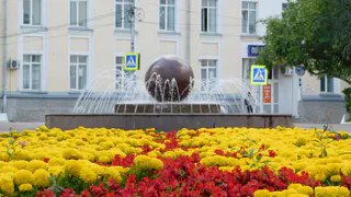 В Вологодскую область приходит "бабье лето"