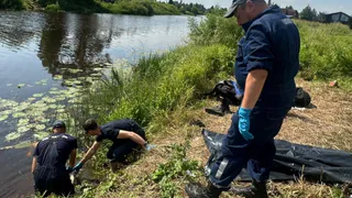 В Вологодской области нашли тело утонувшего подростка